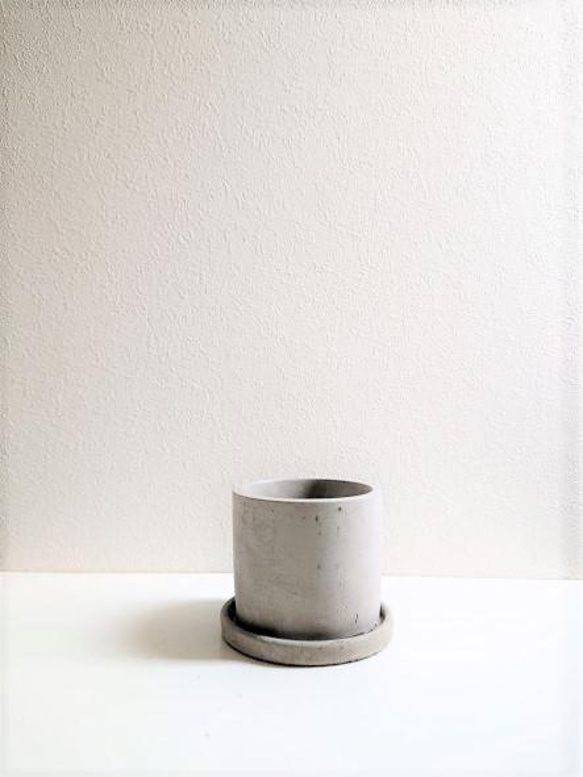 ●数量限定●新作●希少種　”カラテア オルビフォリア　アッシュグレー鉢セット”　観葉植物　インテリア　グリーン×シルバー 7枚目の画像