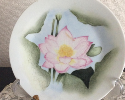 913a263c8f5fac0d708ade99aad257