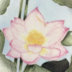 睡蓮の花の絵皿 2枚目の画像