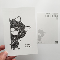 モノトーンな猫たちの ポストカード・封筒セット 4枚目の画像