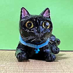 きじねこのきじお 7waru.jpg