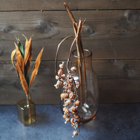 月桃の実 ドライフラワー1本 ギフト/お祝い/プレゼント/ドライフラワー  