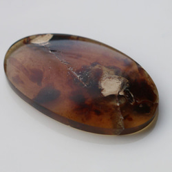 26.3ｃｔ　天然石　琥珀　アンバー　オーバル　カボション　 5枚目の画像