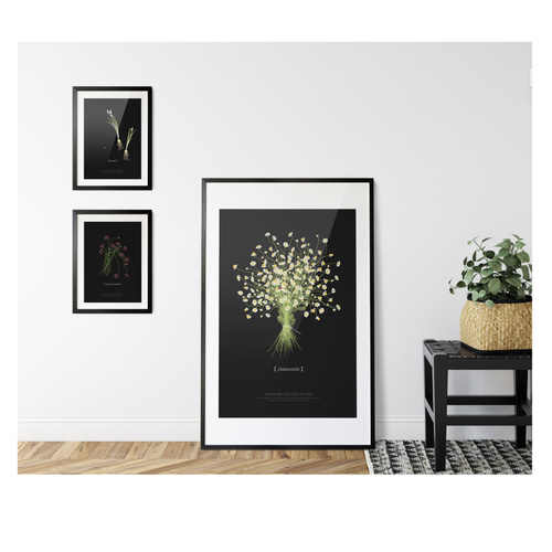大人っぽいカモミールのブーケ】インテリア アートポスター 黒ベース