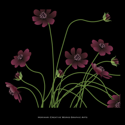 コスモスの水彩画 黒いフレーム付き コスモスの水彩画 黒いフレーム