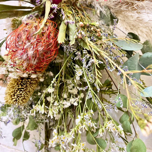 ドライフラワースワッグ ネイティブ系 スワッグ ドライフラワー