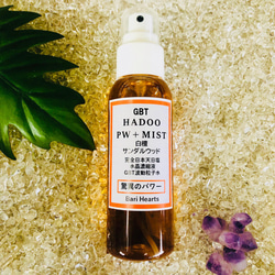 驚異の﻿GBT波動粒子水 屋久杉 123ml 浄化スプレー UP HADOO 驚異のGBT波動粒子水 屋久杉 123ml 浄化スプレー その他雑貨 UP HADOO