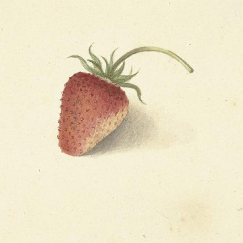 NO.347】苺いちごの絵画アートポスター☆フルーツ果物イチゴ赤色 NO.347】苺いちごの絵画アートポスター☆フルーツ果物イチゴ赤色
