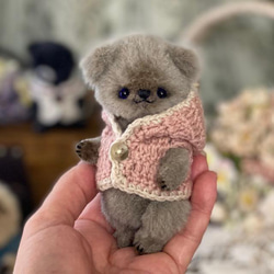 テディベア＜変わりポンチ目のコ＞ ぬいぐるみ Bearbunch（ぶん