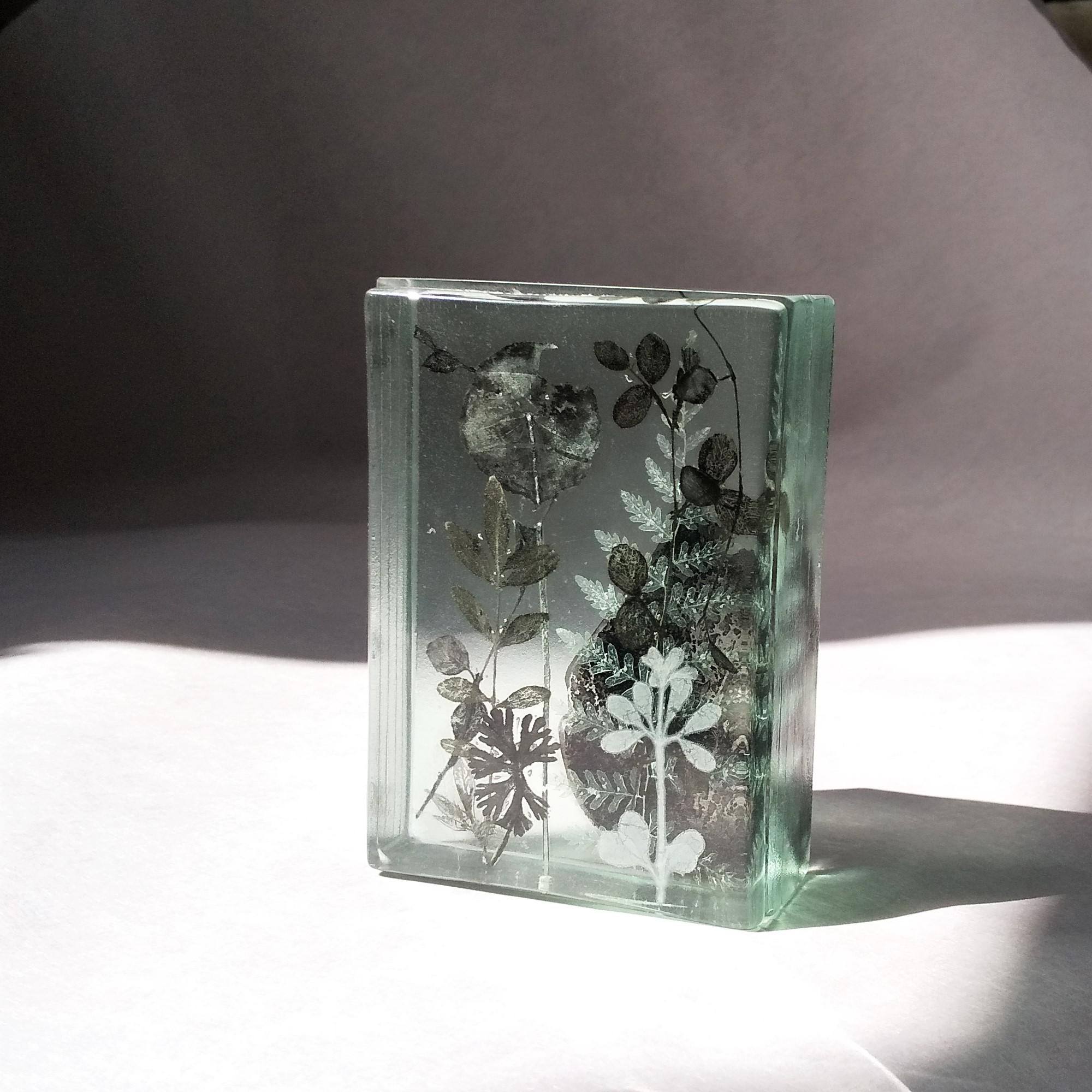ファッションなデザイン Botanical ペーパー 植物標本 Garden」ガラス Cube/Micro 工芸品
