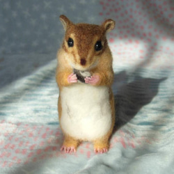 トイプードル ラムクリップ 羊毛フェルト てれ 通販 15076975｜Creema