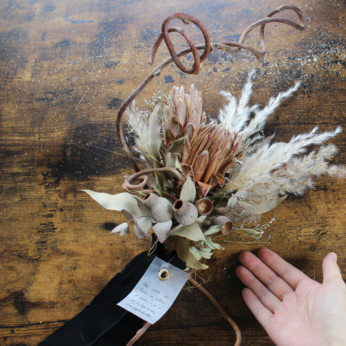 創作スワッグ　プロテア＆キュウイツル 創作スワッグ プロテア＆キュウイツル peindre] swag プロテアとキウイ