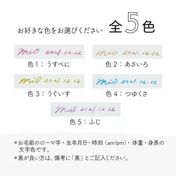 【世界に一つの手書き命名書】《SMサイズ》名前/ローマ字/生年月日時間/身長/体重 3枚目の画像