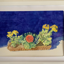 水彩原画　菜の花 2枚目の画像