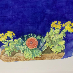 水彩原画　菜の花 3枚目の画像