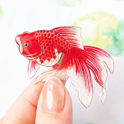 金魚(琉金)＊帯留め 9枚目の画像