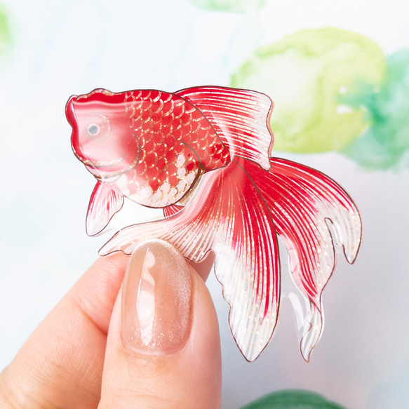 金魚(琉金)＊帯留め 10枚目の画像