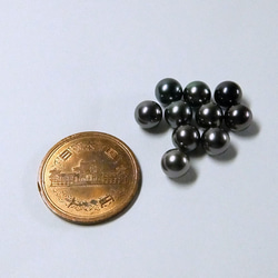【希少・特別出品】6.5～7.0mm 黒蝶真珠 無穴ルース 1ピース　C524 2枚目の画像