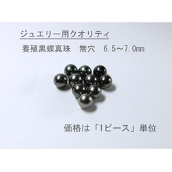 【希少・特別出品】6.5～7.0mm 黒蝶真珠 無穴ルース 1ピース　C524 1枚目の画像