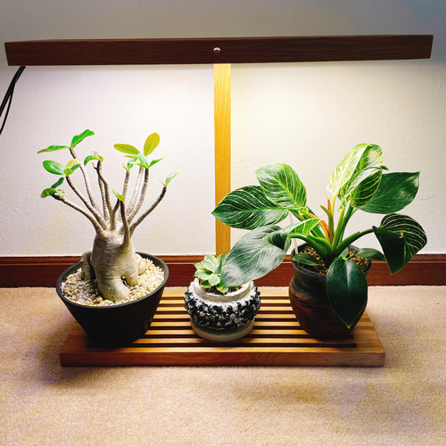 新作！植物育成 LEDライト（ワイドバージョン） スタンドライト
