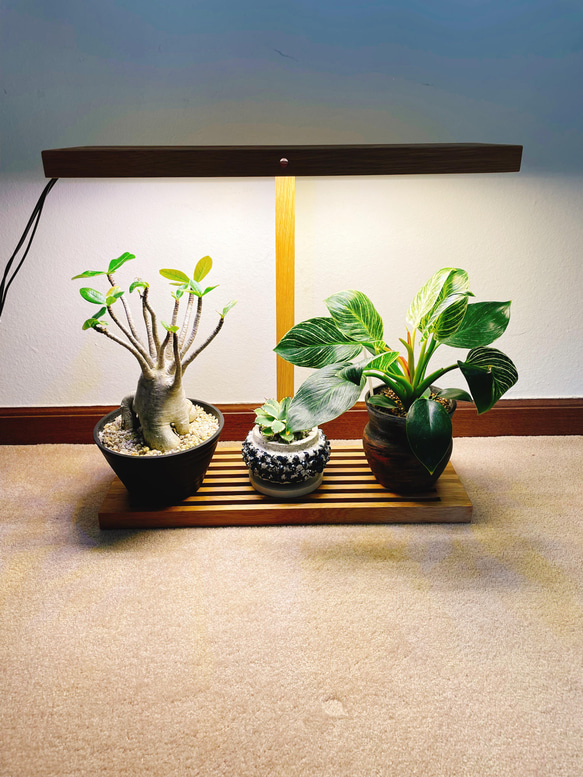 新作！植物育成 LEDライト（ワイドバージョン） スタンドライト