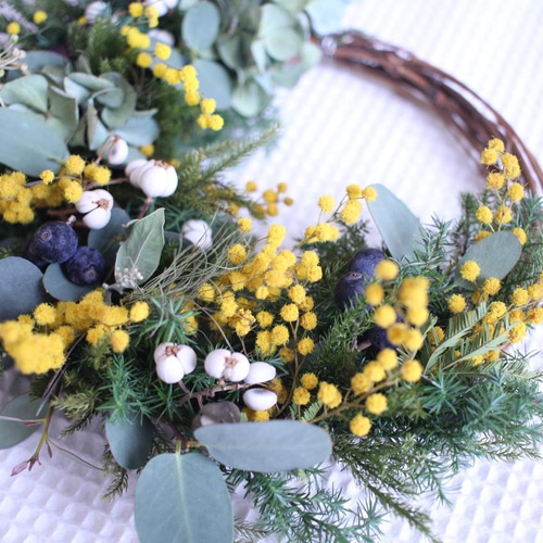 14.ミモザハーフリース ミモザホワイトミックス：ハーフリースS | andbloom