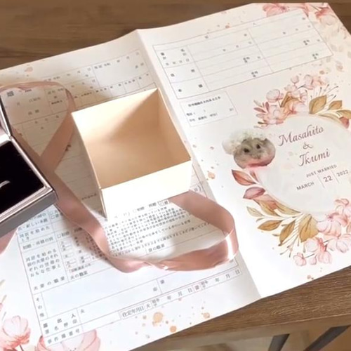 婚姻届 ペット 桜・春・花柄・サクラの婚姻届 完全オーダー