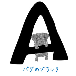 【名前入り】巾着　小サイズ　パグ　アルファベット メッセージ 小物入れ　入園　入学　名入れ　 8枚目の画像