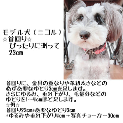 【再販】 桜 咲くピンク色の ネームタグ 付き 本革 チョーカー （ 犬用 アルミ 迷子札 ） 5枚目の画像