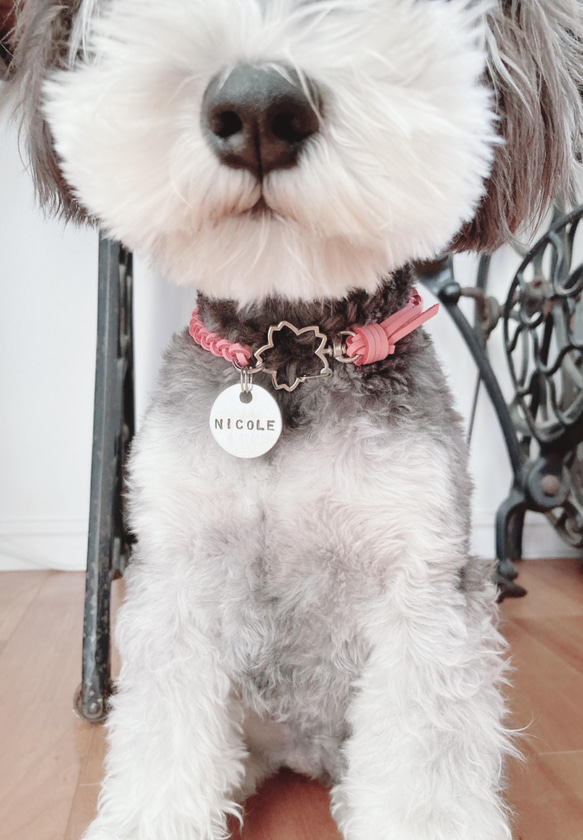 【再販】 桜 咲くピンク色の ネームタグ 付き 本革 チョーカー （ 犬用 アルミ 迷子札 ） 4枚目の画像