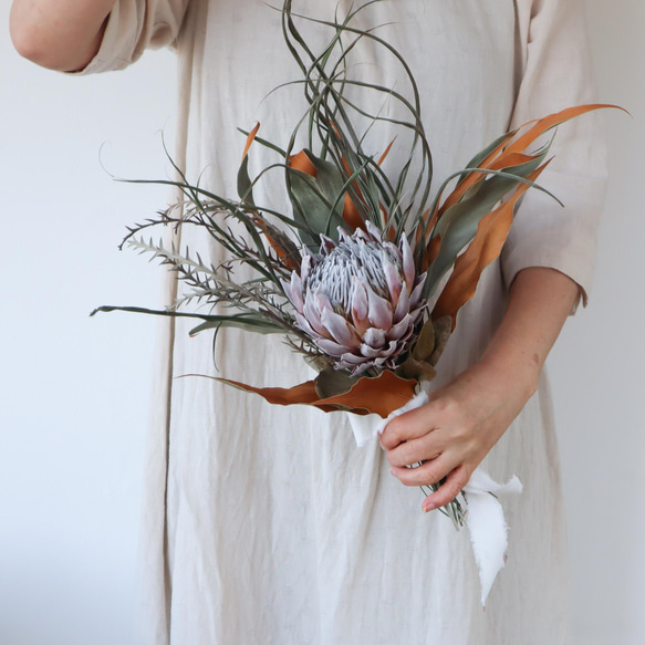 ドライフラワー☆大きめネイティブリース☆プロテア アイバンホー