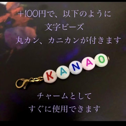 人気❤︎【送料無料】♡ 恐竜の化石 チャーム♡ キーホルダーやバッグチャームとして使えます 7枚目の画像