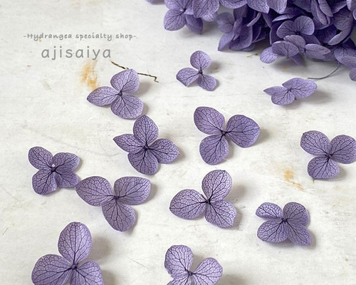 579beb3347f2bfa719d950f74cfaef