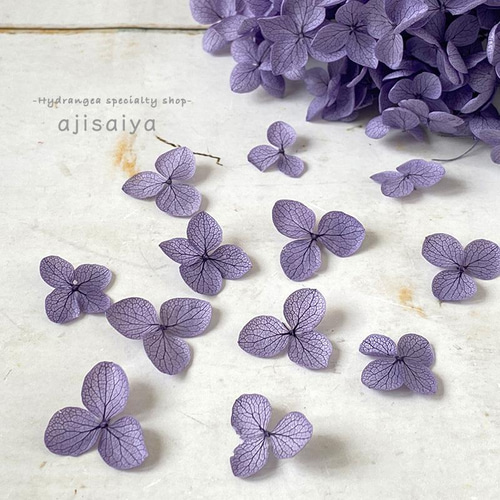 アナベル　あじさい花びら あじさい 花びら【国産 アナベル・むらさき 30枚】あじさいの