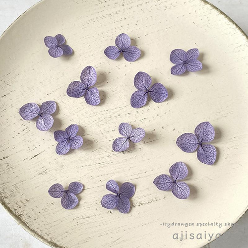 あじさい 花びら【国産 アナベル・むらさき 30枚】あじさいの