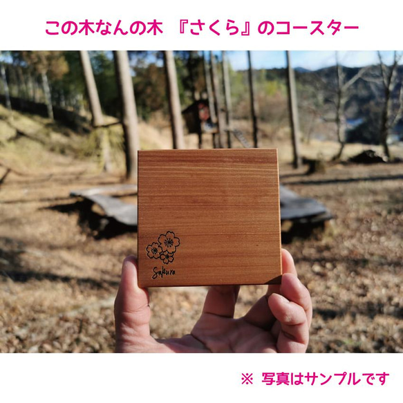 「さくら」のコースター　※1枚あたりのお値段です 1枚目の画像