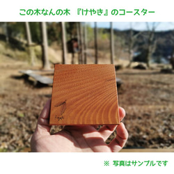 「けやき」のコースター　※1枚あたりのお値段です 1枚目の画像