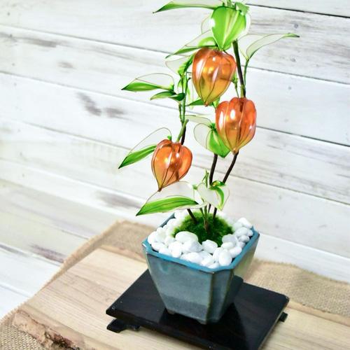 焙り出し　みつ豆鉢 61QLD0k8PHS._AC_UF350,