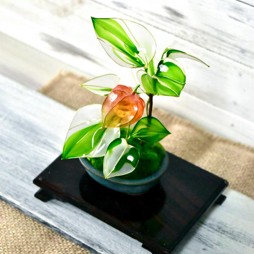 403 盆栽　盆栽鉢　植木鉢　和鉢　碧祥 403 盆栽 盆栽鉢 植木鉢 和鉢 碧祥 403 盆栽 盆栽鉢 植木鉢 和鉢