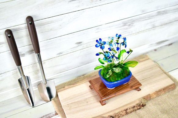 小鉢】 青すみれ 青平鉢 盆栽 風碧(kazamidori) 通販 13361347｜Creema