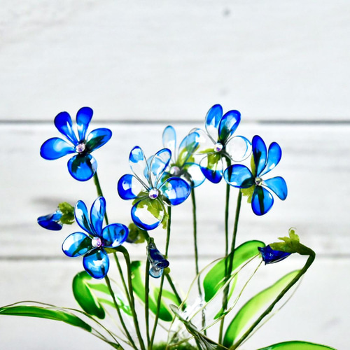 小鉢】 青すみれ 青平鉢 盆栽 風碧(kazamidori) 通販 13361347｜Creema