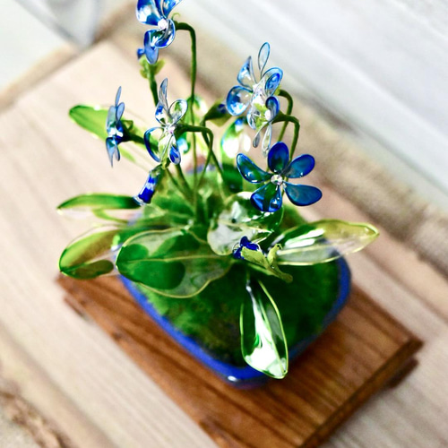 小鉢】 青すみれ 青平鉢 盆栽 風碧(kazamidori) 通販 13361347｜Creema