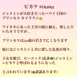 残りわずか　＊ハワイプリンセスの愛した『ピカケ』＊　希少シェルピカケを贅沢に使ったピアス(5連・イヤリングに変更可) 8枚目の画像