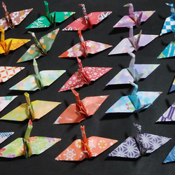 1571c75a99648bfadf5a4f9f49c251