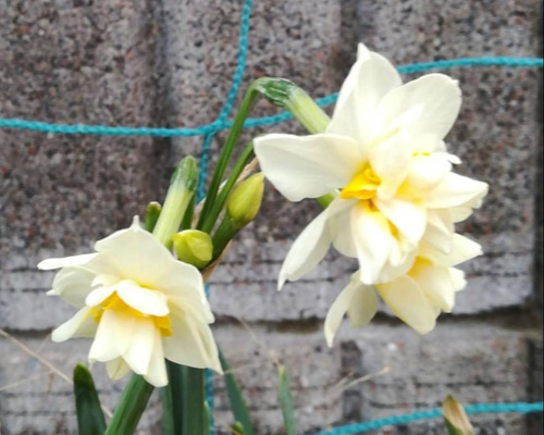 b9ba36a3ebb231de45fa8b372e5d52