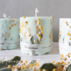 ミモザキャンドル ボタニカルキャンドル ソイキャンドル mimosa 春
