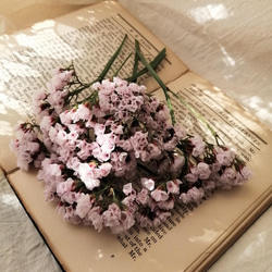 桜のお花のような、くすみピンク色の可愛いスターチスのドライフラワー