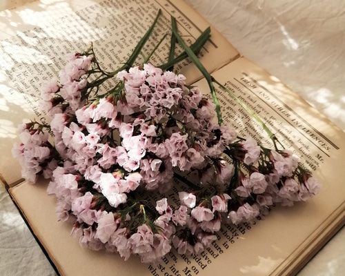 952607bf2cdb219c7b62f8e28bfbd6