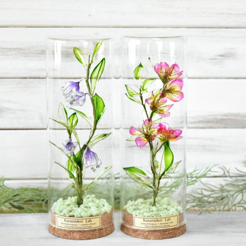 errer 根っこ付き水草 筆記体 植物標本 アンティーク 樹脂標本 errer 根っこ付き水草 筆記体タグ付き 植物標本 アンティーク