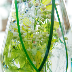 【作りたて！再販13】めだかのさんぽ道　野原のみち　春草の生い茂る透明感溢れるグリーンハーバリウム 9枚目の画像